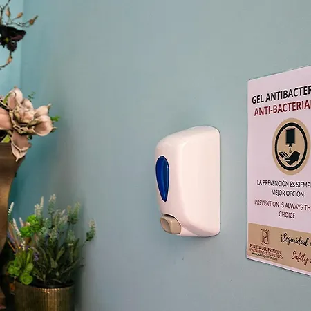 Puerta Principe Luxury Apartment *