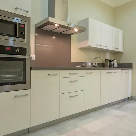 Apartment Puerta Principe Luxury *