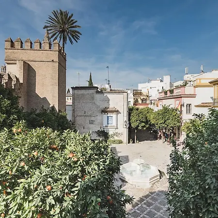 Apartment Puerta Principe Luxury